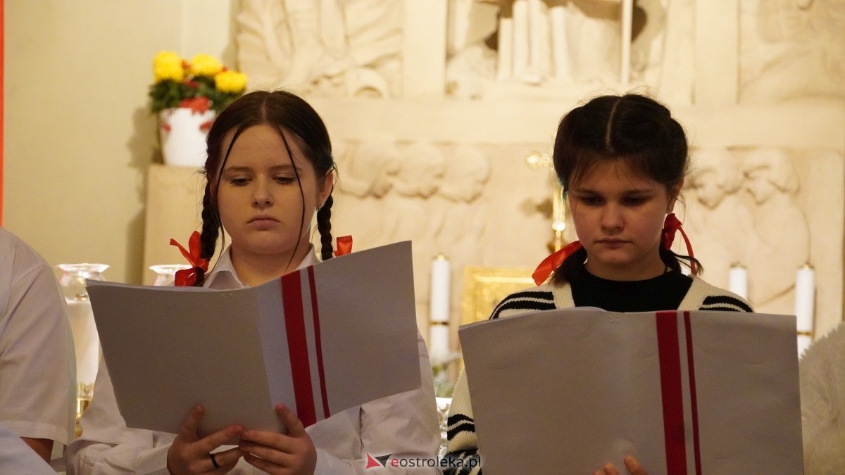 Gala wręczenia wyróżnienia Narodowi i Ojczyźnie z udziałem prof. Jerzego Bralczyka [26.11.2024] - zdjęcie #91 - eOstroleka.pl