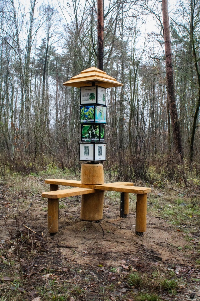 Leśny zakątek Ostrołęki: Nowe inwestycje w lasku przy ul. Warszawskiej [04.12.2024] - zdjęcie #14 - eOstroleka.pl