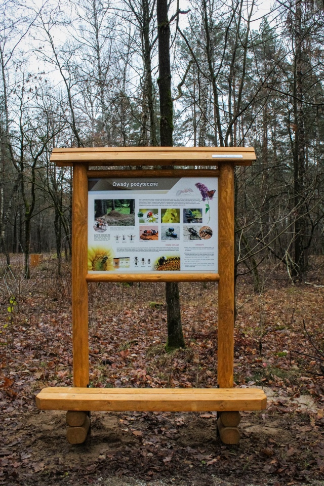 Leśny zakątek Ostrołęki: Nowe inwestycje w lasku przy ul. Warszawskiej [04.12.2024] - zdjęcie #13 - eOstroleka.pl