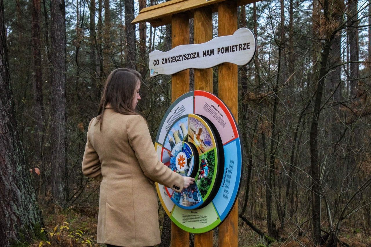 Leśny zakątek Ostrołęki: Nowe inwestycje w lasku przy ul. Warszawskiej [04.12.2024] - zdjęcie #8 - eOstroleka.pl