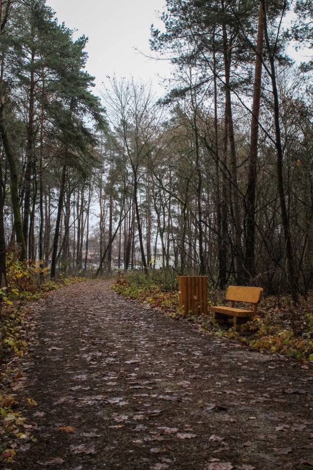 Leśny zakątek Ostrołęki: Nowe inwestycje w lasku przy ul. Warszawskiej [04.12.2024] - zdjęcie #6 - eOstroleka.pl