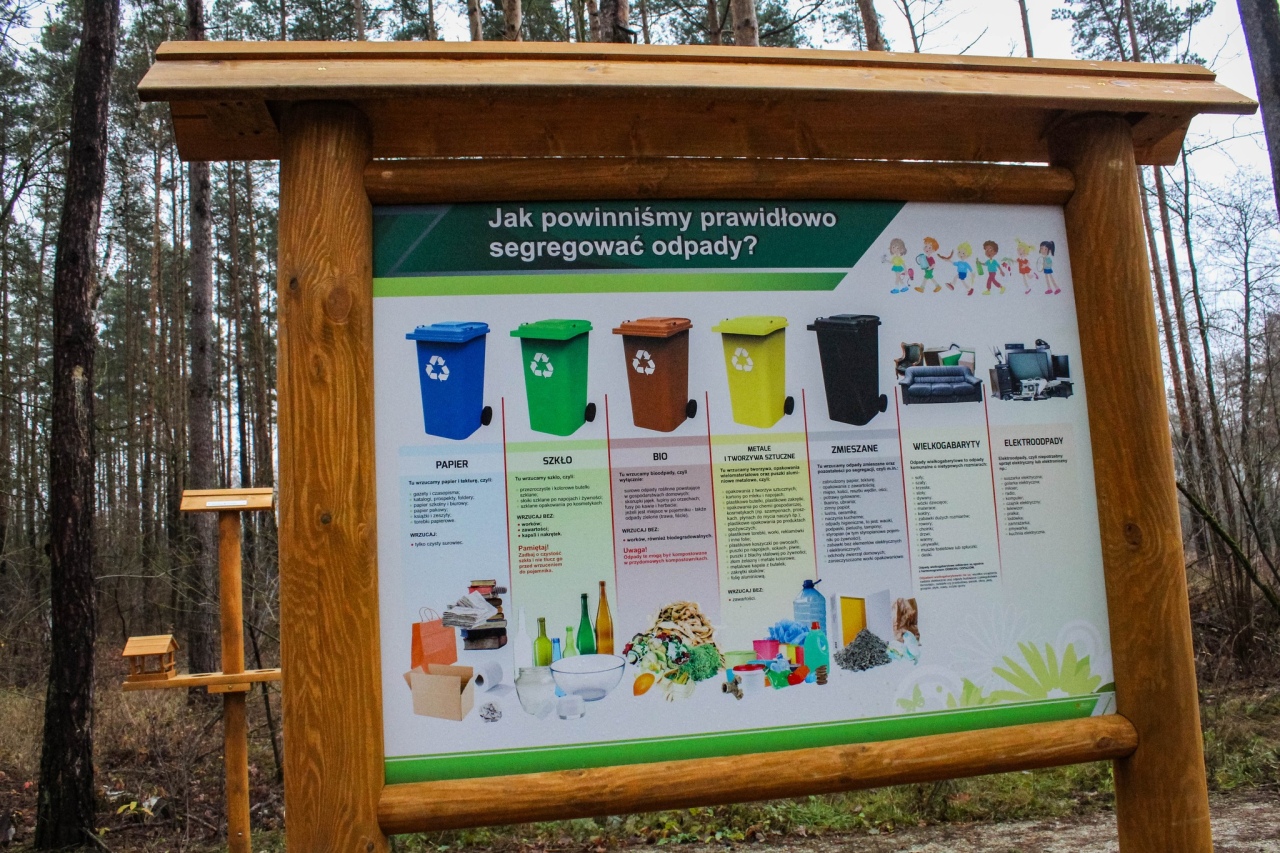 Leśny zakątek Ostrołęki: Nowe inwestycje w lasku przy ul. Warszawskiej [04.12.2024] - zdjęcie #3 - eOstroleka.pl