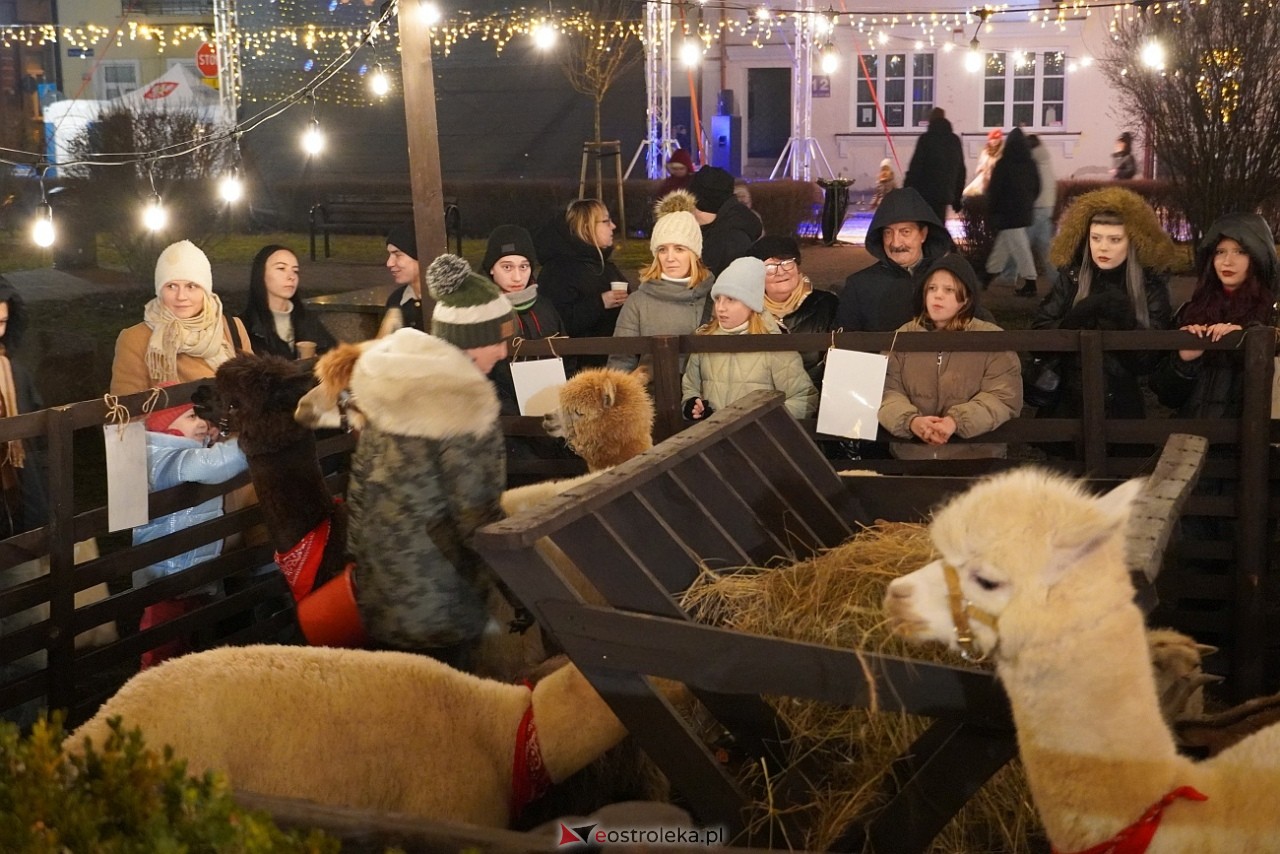 Kurpiowski Jarmark Bożonarodzeniowy - drugi dzień [6.12.2024] - zdjęcie #12 - eOstroleka.pl