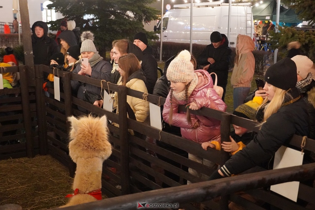 Kurpiowski Jarmark Bożonarodzeniowy - drugi dzień [6.12.2024] - zdjęcie #11 - eOstroleka.pl