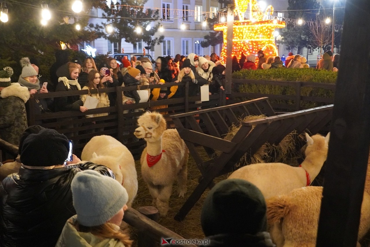 Kurpiowski Jarmark Bożonarodzeniowy - drugi dzień [6.12.2024] - zdjęcie #10 - eOstroleka.pl