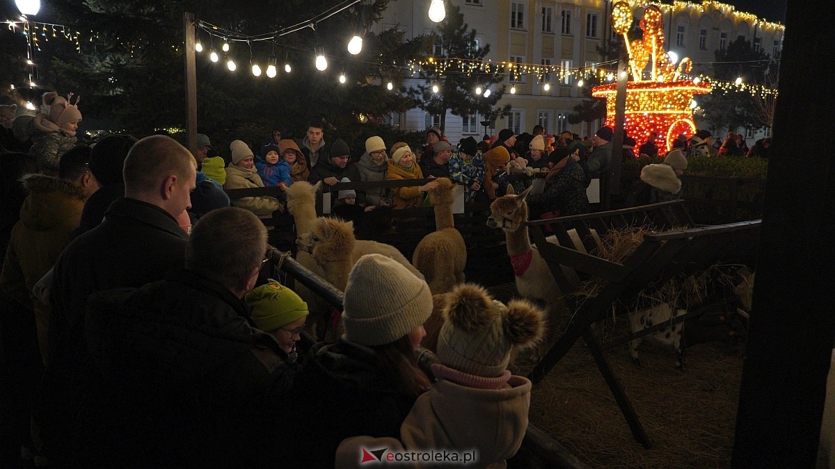 Koncertowa sobota na II Kurpiowskim Jarmarku Bożonarodzeniowym w Ostrołęce [7.12.2024] - zdjęcie #135 - eOstroleka.pl