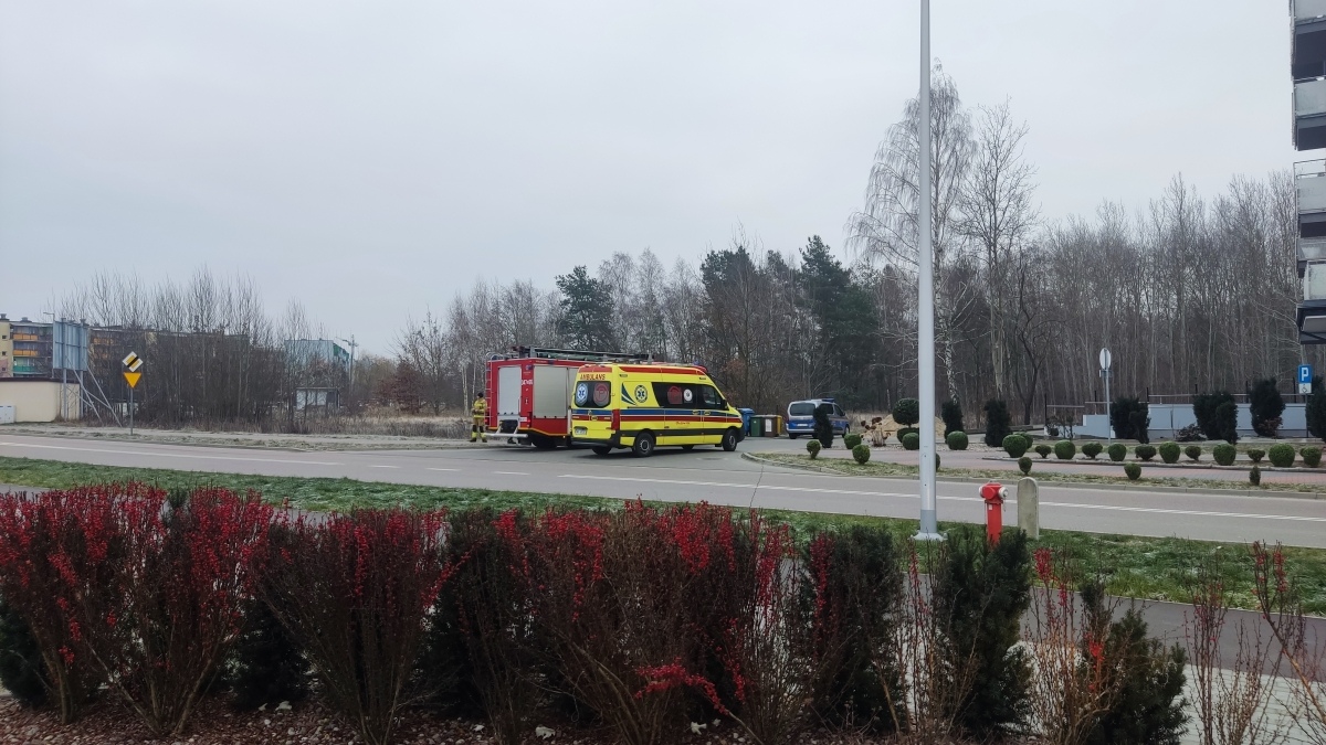 Nietypowa interwencja Straży Miejskiej i OSP w Ostrołęce [14.12.2024] - zdjęcie #6 - eOstroleka.pl