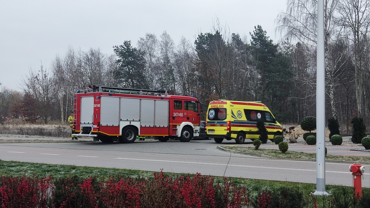 Nietypowa interwencja Straży Miejskiej i OSP w Ostrołęce [14.12.2024] - zdjęcie #5 - eOstroleka.pl