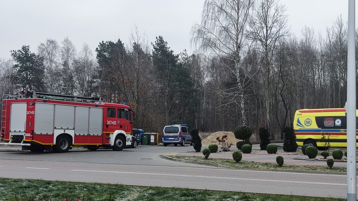 Nietypowa interwencja Straży Miejskiej i OSP w Ostrołęce [14.12.2024] - zdjęcie #4 - eOstroleka.pl