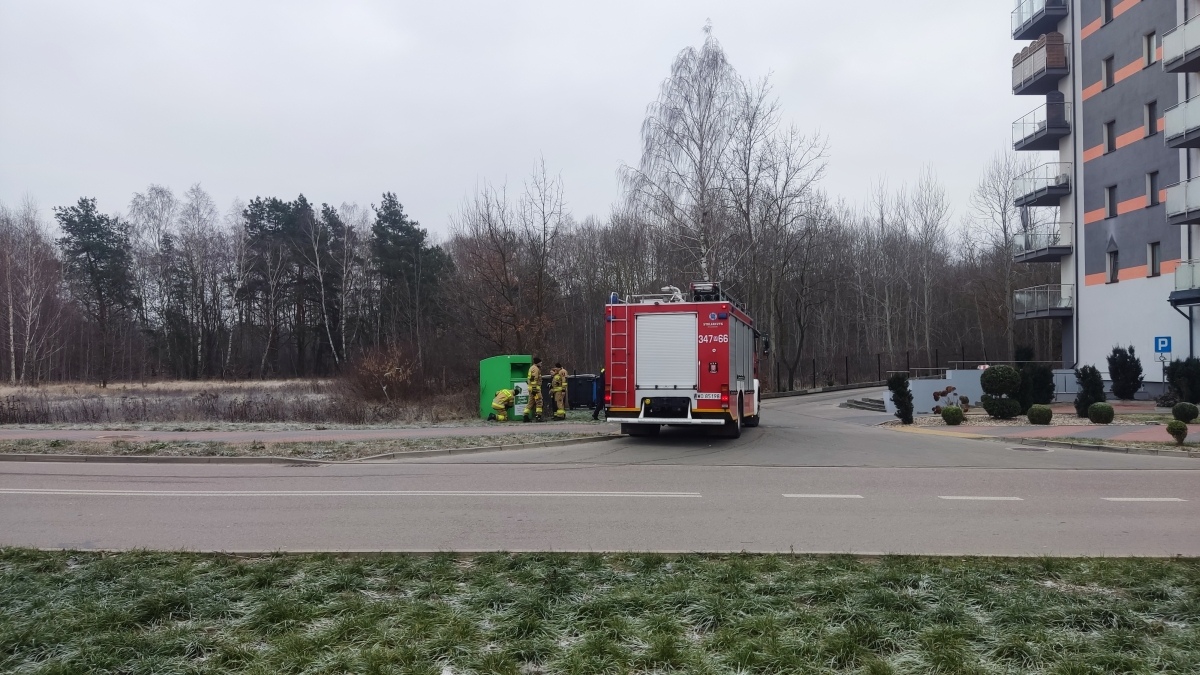 Nietypowa interwencja Straży Miejskiej i OSP w Ostrołęce [14.12.2024] - zdjęcie #3 - eOstroleka.pl