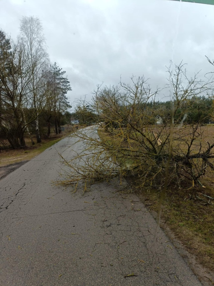 Gwałtowna nawałnica w powiecie ostrołęckim [16.12.2024] - zdjęcie #7 - eOstroleka.pl