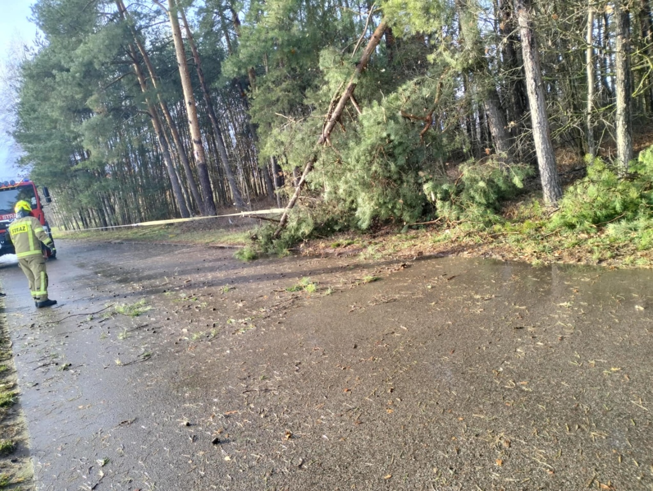 Gwałtowna nawałnica w powiecie ostrołęckim [16.12.2024] - zdjęcie #3 - eOstroleka.pl
