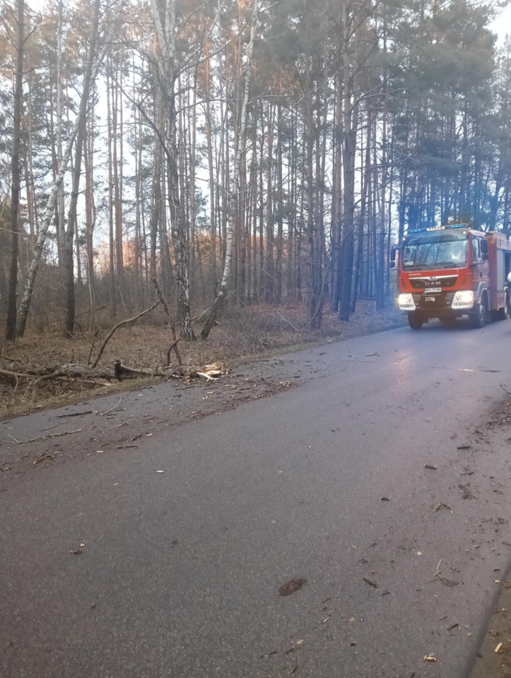 Gwałtowna nawałnica w powiecie ostrołęckim [16.12.2024] - zdjęcie #6 - eOstroleka.pl