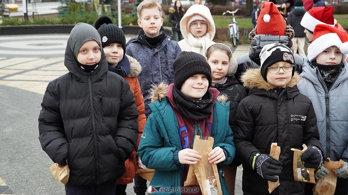 Akcja Piernik za uśmiech w Ostrołęce [18.12.2024] - zdjęcie #77 - eOstroleka.pl