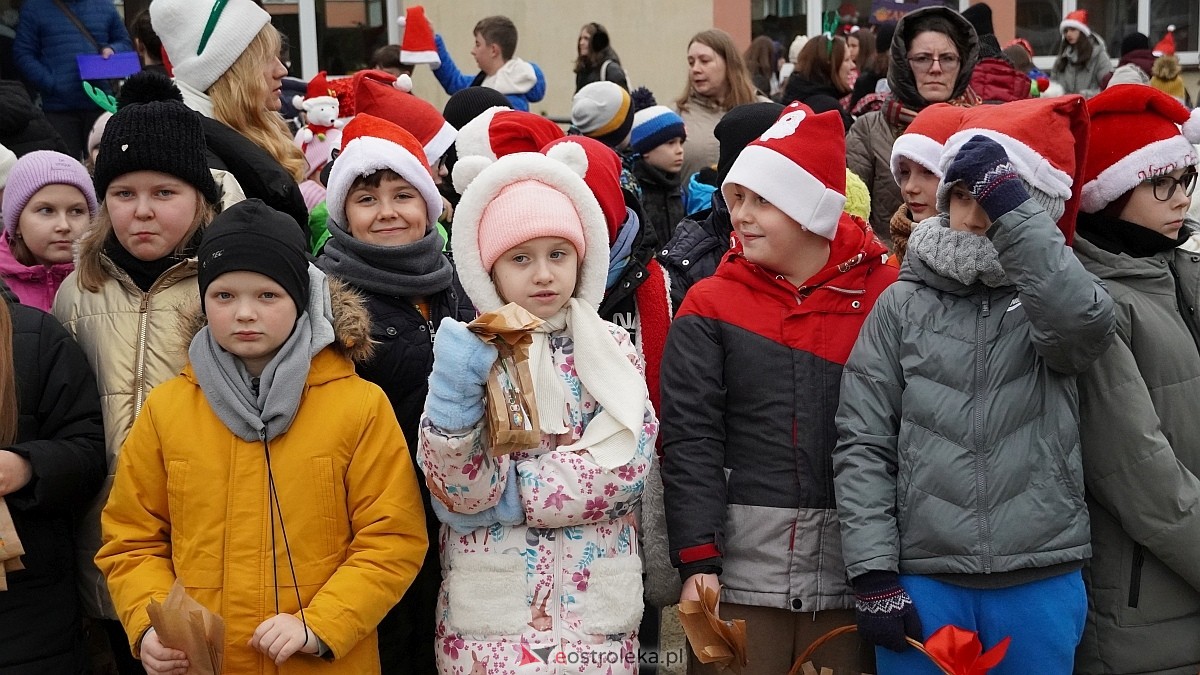 Akcja Piernik za uśmiech w Ostrołęce [18.12.2024] - zdjęcie #53 - eOstroleka.pl