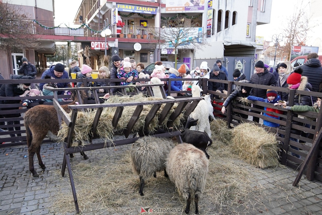 Miejska Wigilia na Placu Wolności w Ostrołęce [2112.2024] - zdjęcie #77 - eOstroleka.pl