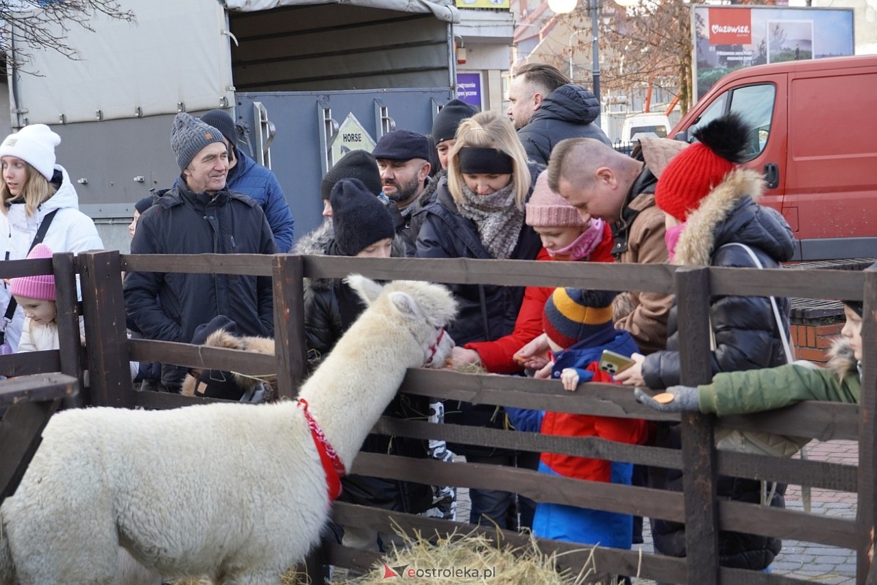 Miejska Wigilia na Placu Wolności w Ostrołęce [2112.2024] - zdjęcie #75 - eOstroleka.pl