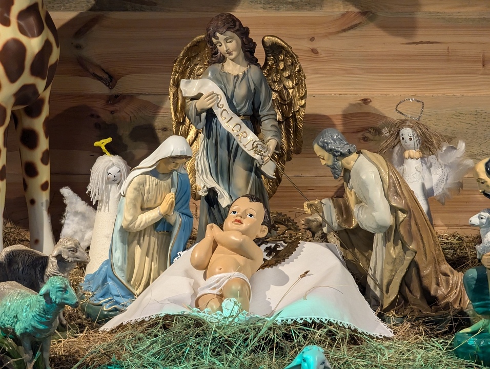 Bożonarodzeniowe szopki w kościołach w Ostrołęce i Rzekuniu [25.12.2024] - zdjęcie #8 - eOstroleka.pl