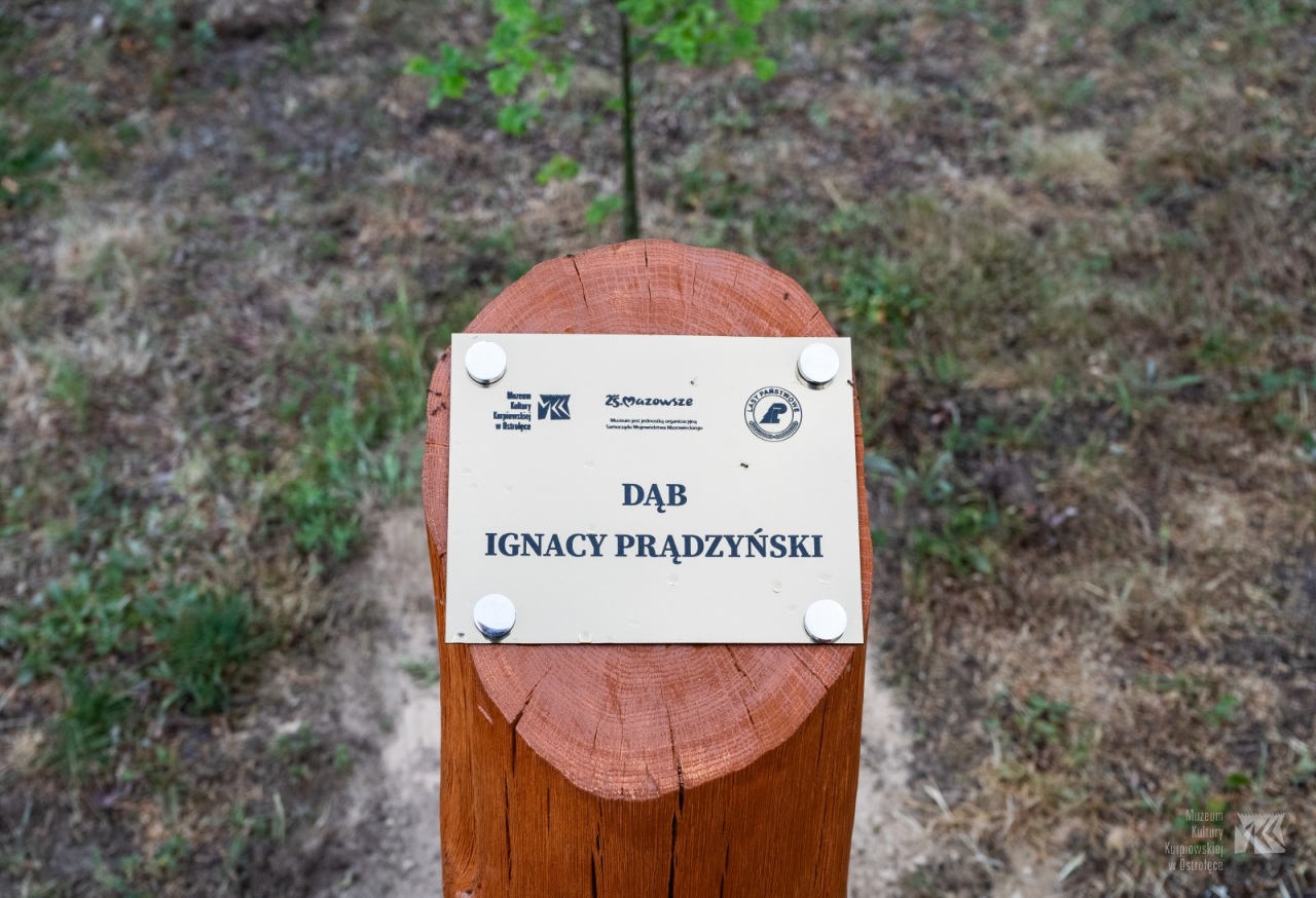 Podsumowanie roku 2024 w Muzeum Kultury Kurpiowskiej - zdjęcie #31 - eOstroleka.pl