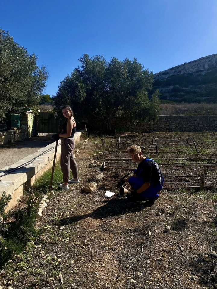 Projekt „Efektywnie i mobilnie - technik w Europie (Malta) nr 2023-1-PL01-KA122-VET-000115930 w Zespole Szkół Powiatowych w Goworowie dobiega końca - zdjęcie #154 - eOstroleka.pl