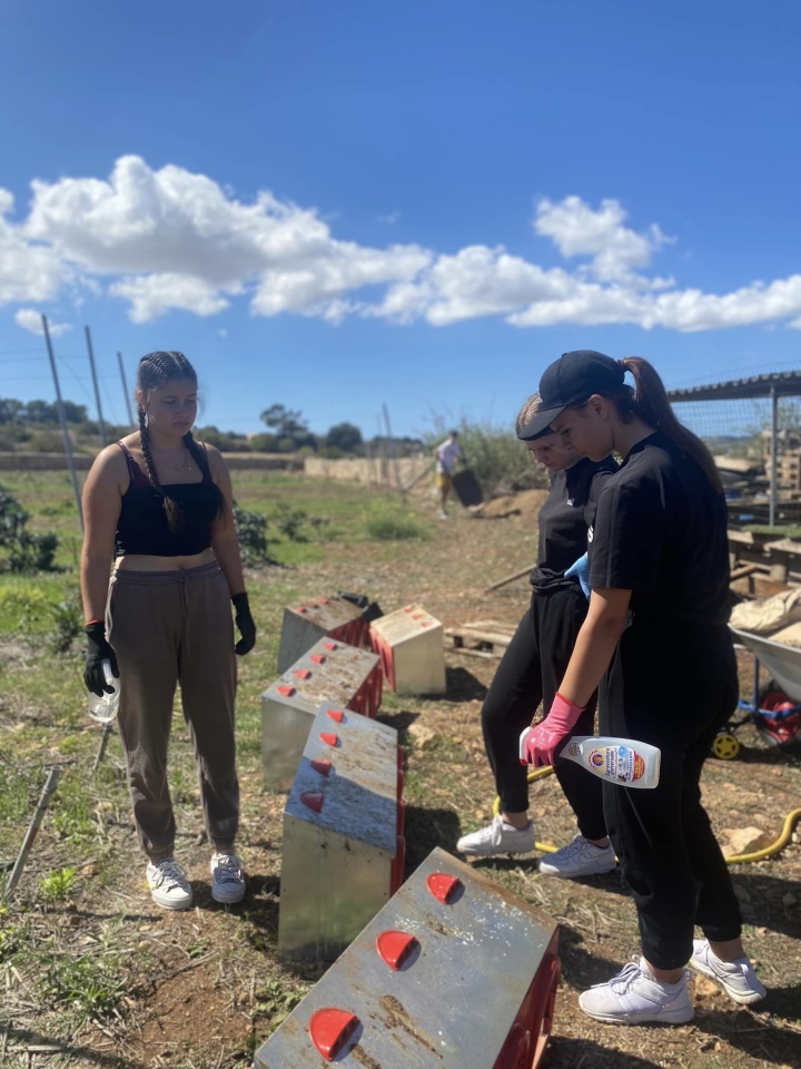 Projekt „Efektywnie i mobilnie - technik w Europie (Malta) nr 2023-1-PL01-KA122-VET-000115930 w Zespole Szkół Powiatowych w Goworowie dobiega końca - zdjęcie #138 - eOstroleka.pl