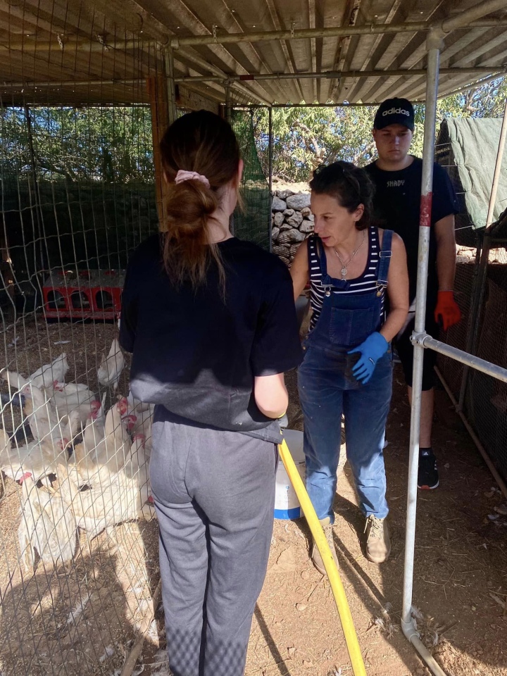 Projekt „Efektywnie i mobilnie - technik w Europie (Malta) nr 2023-1-PL01-KA122-VET-000115930 w Zespole Szkół Powiatowych w Goworowie dobiega końca - zdjęcie #130 - eOstroleka.pl