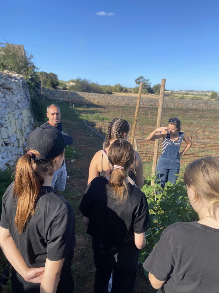 Projekt „Efektywnie i mobilnie - technik w Europie (Malta) nr 2023-1-PL01-KA122-VET-000115930 w Zespole Szkół Powiatowych w Goworowie dobiega końca - zdjęcie #129 - eOstroleka.pl