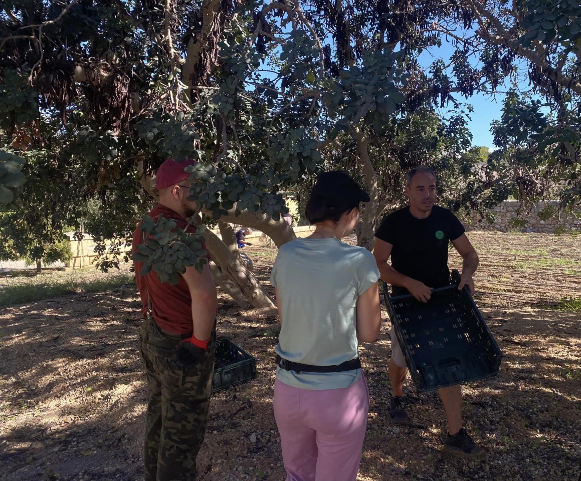 Projekt „Efektywnie i mobilnie - technik w Europie (Malta) nr 2023-1-PL01-KA122-VET-000115930 w Zespole Szkół Powiatowych w Goworowie dobiega końca - zdjęcie #123 - eOstroleka.pl