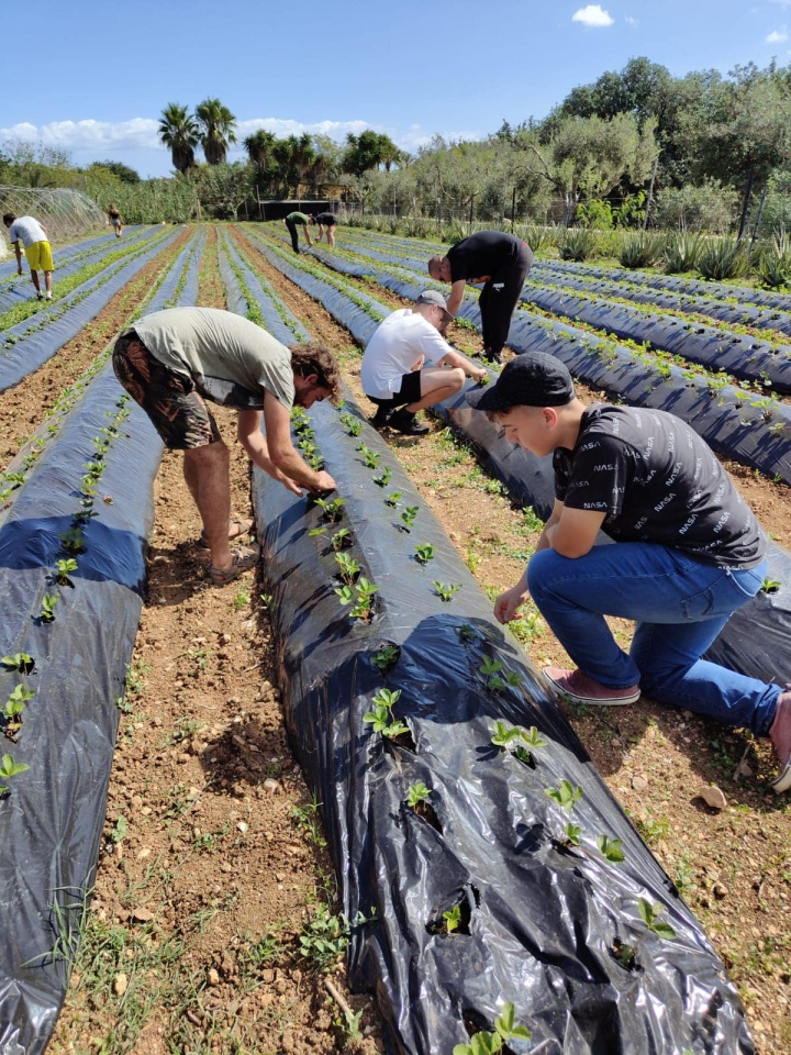 Projekt „Efektywnie i mobilnie - technik w Europie (Malta) nr 2023-1-PL01-KA122-VET-000115930 w Zespole Szkół Powiatowych w Goworowie dobiega końca - zdjęcie #115 - eOstroleka.pl