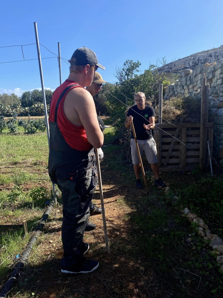 Projekt „Efektywnie i mobilnie - technik w Europie (Malta) nr 2023-1-PL01-KA122-VET-000115930 w Zespole Szkół Powiatowych w Goworowie dobiega końca - zdjęcie #111 - eOstroleka.pl
