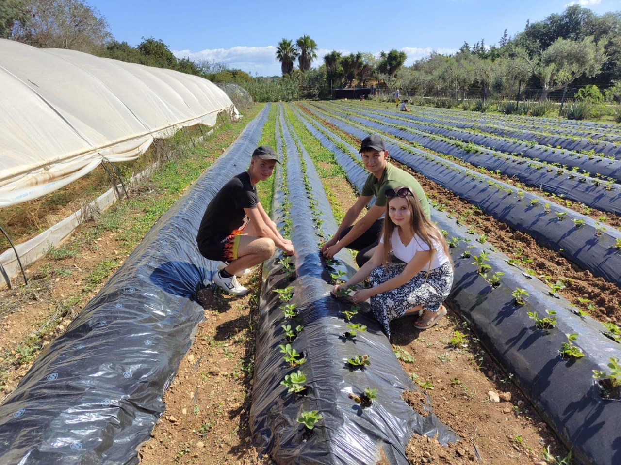 Projekt „Efektywnie i mobilnie - technik w Europie (Malta) nr 2023-1-PL01-KA122-VET-000115930 w Zespole Szkół Powiatowych w Goworowie dobiega końca - zdjęcie #107 - eOstroleka.pl