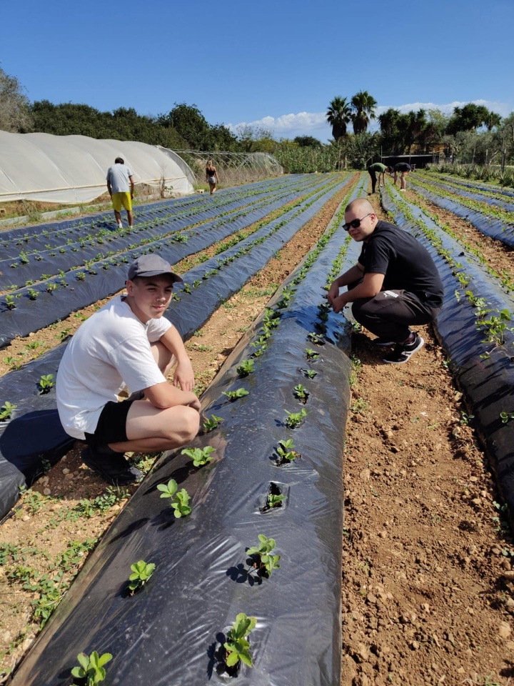 Projekt „Efektywnie i mobilnie - technik w Europie (Malta) nr 2023-1-PL01-KA122-VET-000115930 w Zespole Szkół Powiatowych w Goworowie dobiega końca - zdjęcie #105 - eOstroleka.pl