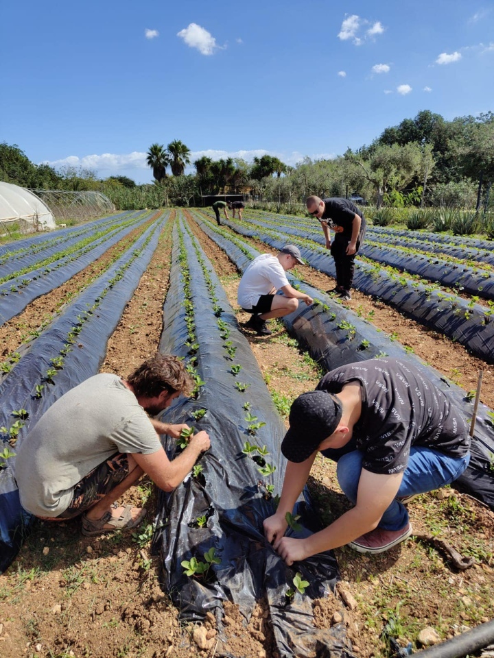 Projekt „Efektywnie i mobilnie - technik w Europie (Malta) nr 2023-1-PL01-KA122-VET-000115930 w Zespole Szkół Powiatowych w Goworowie dobiega końca - zdjęcie #104 - eOstroleka.pl