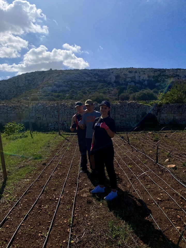 Projekt „Efektywnie i mobilnie - technik w Europie (Malta) nr 2023-1-PL01-KA122-VET-000115930 w Zespole Szkół Powiatowych w Goworowie dobiega końca - zdjęcie #94 - eOstroleka.pl