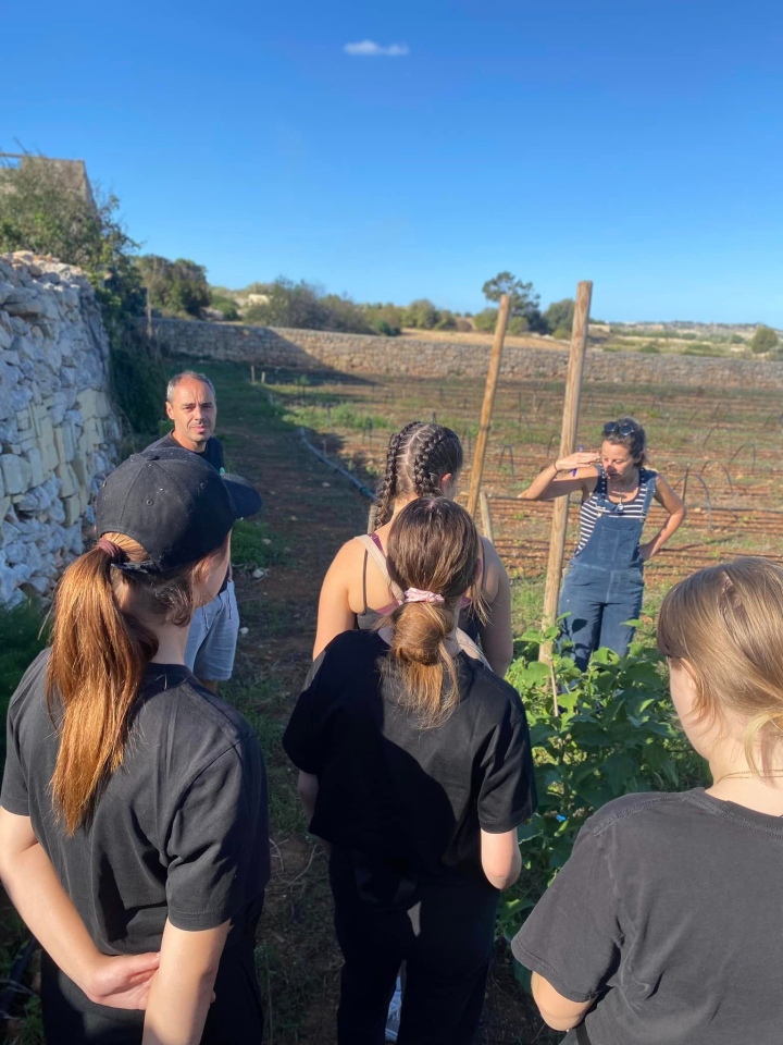 Projekt „Efektywnie i mobilnie - technik w Europie (Malta) nr 2023-1-PL01-KA122-VET-000115930 w Zespole Szkół Powiatowych w Goworowie dobiega końca - zdjęcie #57 - eOstroleka.pl