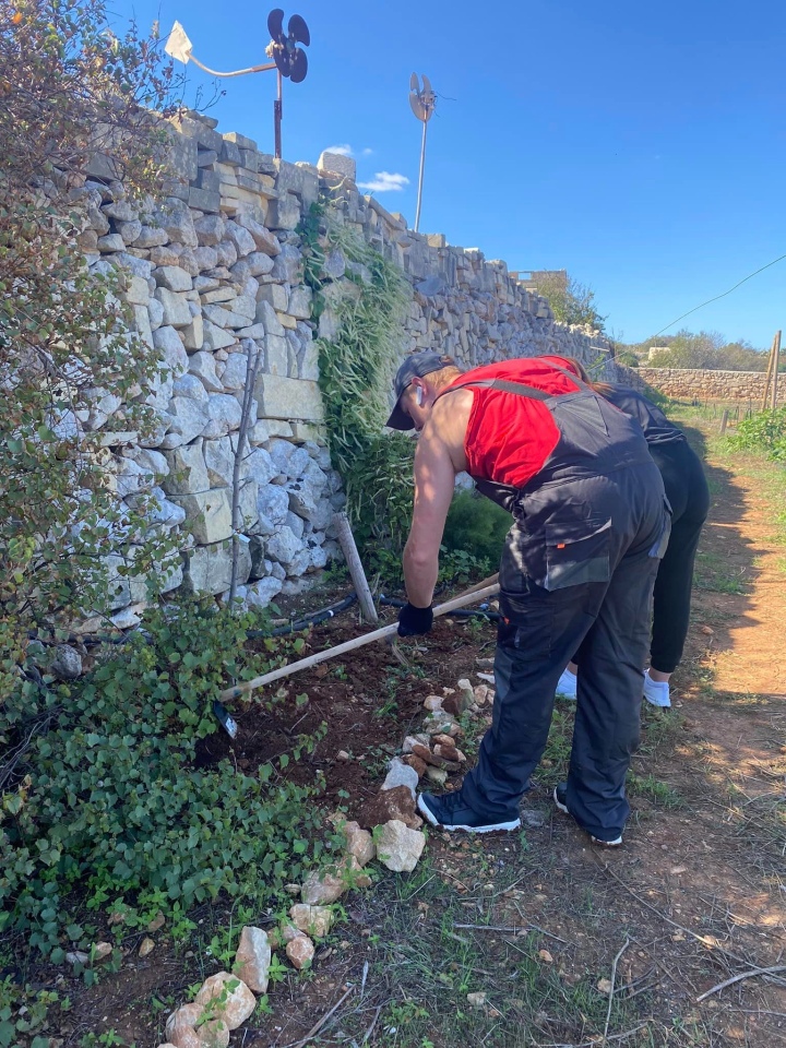 Projekt „Efektywnie i mobilnie - technik w Europie (Malta) nr 2023-1-PL01-KA122-VET-000115930 w Zespole Szkół Powiatowych w Goworowie dobiega końca - zdjęcie #52 - eOstroleka.pl