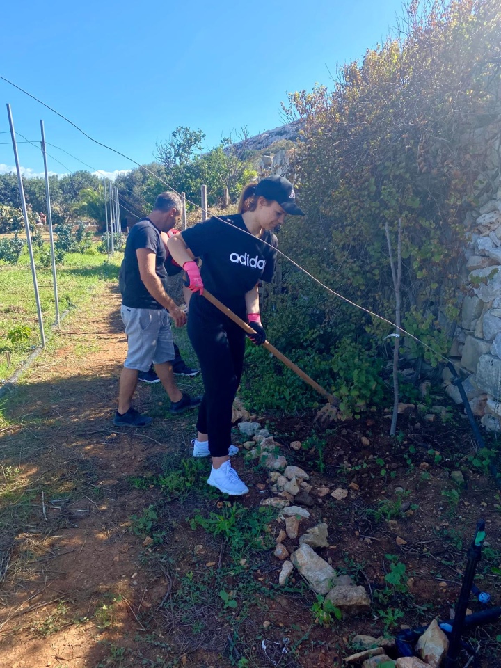 Projekt „Efektywnie i mobilnie - technik w Europie (Malta) nr 2023-1-PL01-KA122-VET-000115930 w Zespole Szkół Powiatowych w Goworowie dobiega końca - zdjęcie #25 - eOstroleka.pl