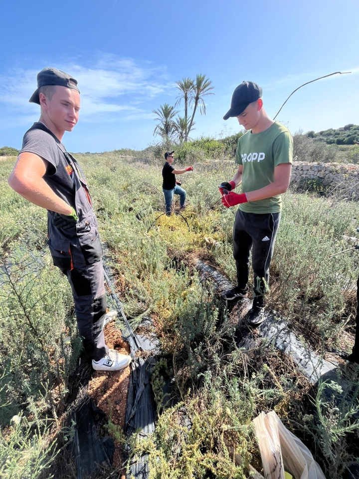 Projekt „Efektywnie i mobilnie - technik w Europie (Malta) nr 2023-1-PL01-KA122-VET-000115930 w Zespole Szkół Powiatowych w Goworowie dobiega końca - zdjęcie #16 - eOstroleka.pl