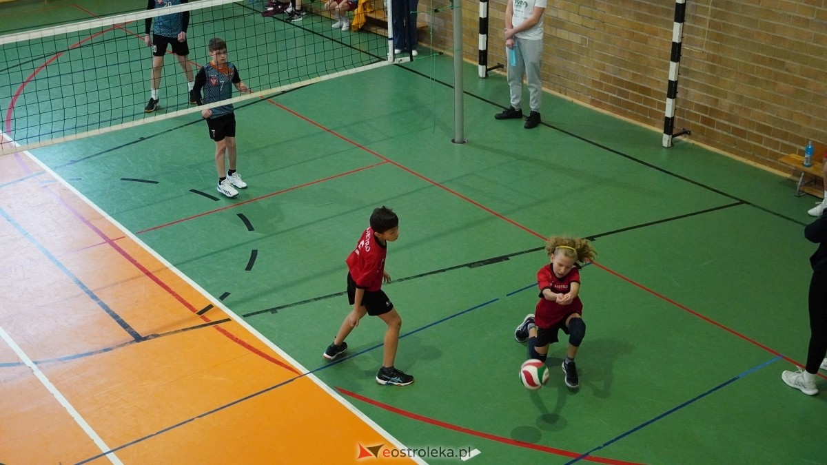 Turniej siatkarski UKS Olimp Ostrołęka [11.01.2025] - zdjęcie #197 - eOstroleka.pl