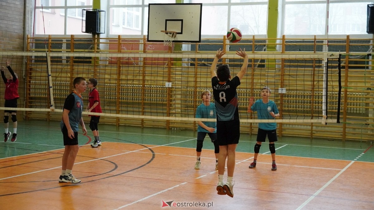 Turniej siatkarski UKS Olimp Ostrołęka [11.01.2025] - zdjęcie #195 - eOstroleka.pl