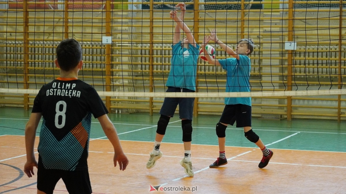 Turniej siatkarski UKS Olimp Ostrołęka [11.01.2025] - zdjęcie #194 - eOstroleka.pl