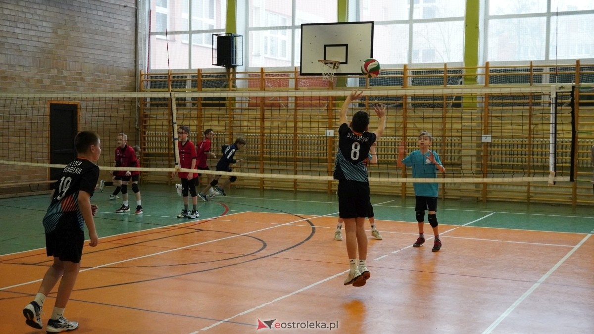 Turniej siatkarski UKS Olimp Ostrołęka [11.01.2025] - zdjęcie #193 - eOstroleka.pl