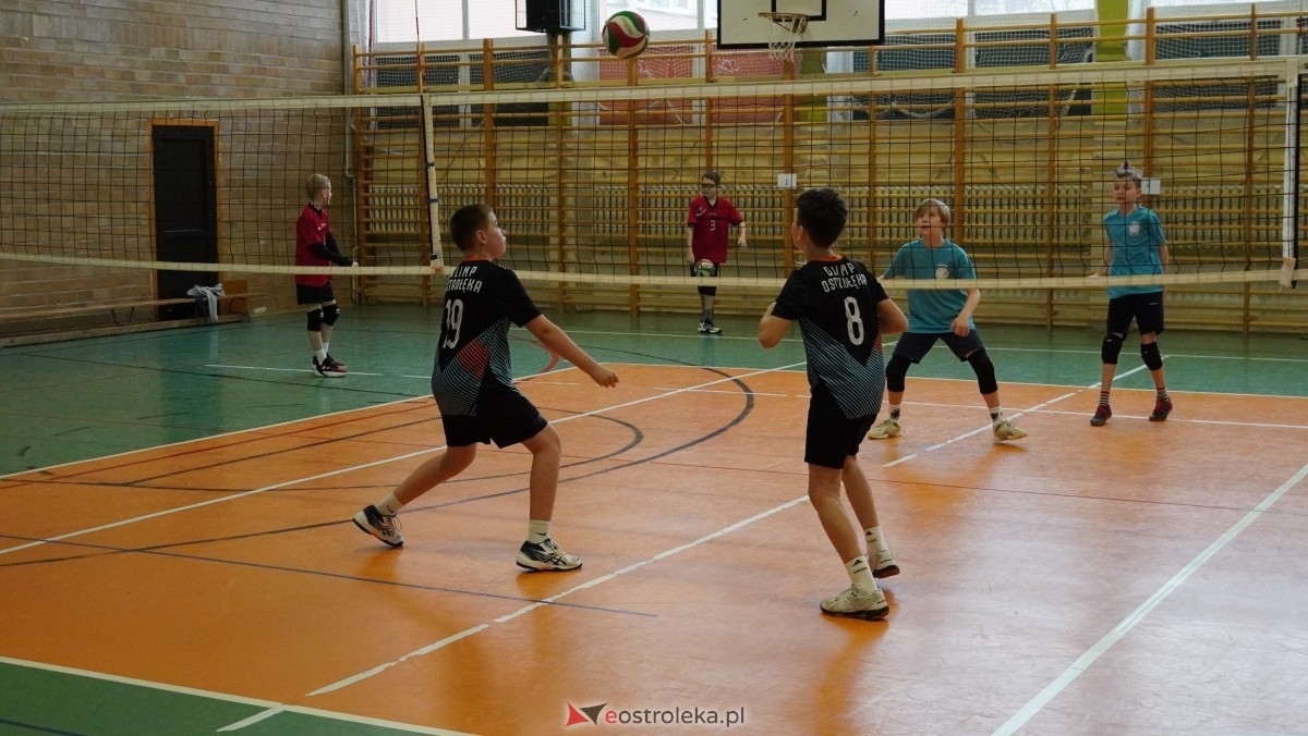 Turniej siatkarski UKS Olimp Ostrołęka [11.01.2025] - zdjęcie #191 - eOstroleka.pl