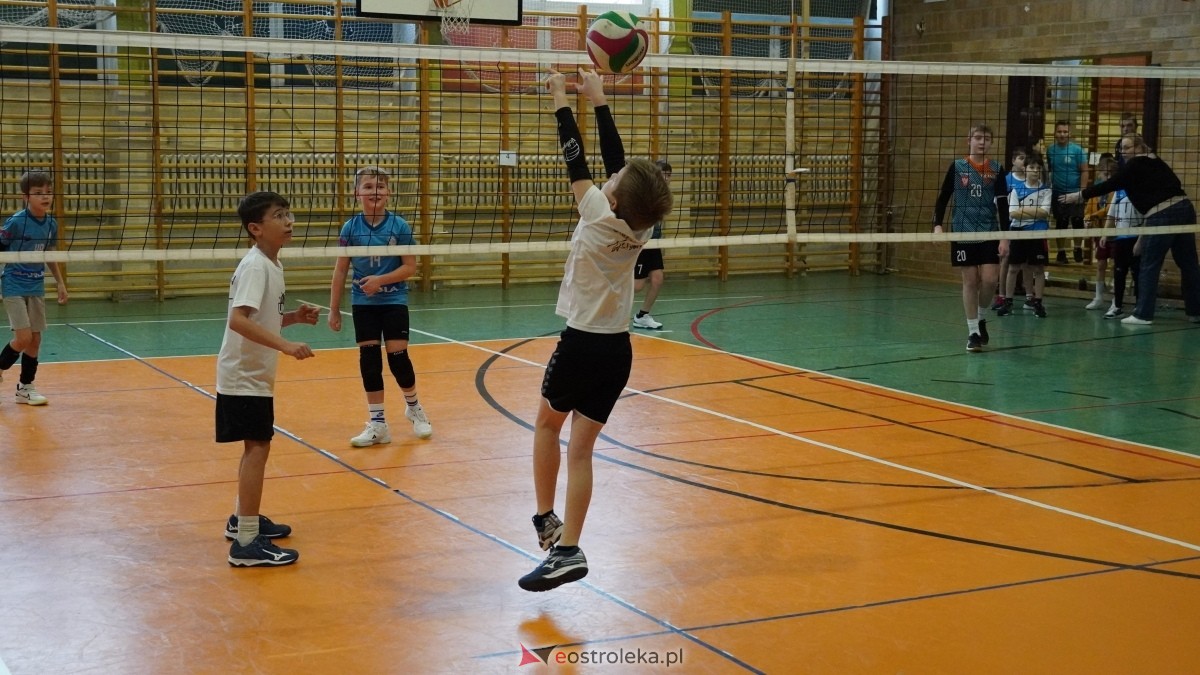 Turniej siatkarski UKS Olimp Ostrołęka [11.01.2025] - zdjęcie #188 - eOstroleka.pl
