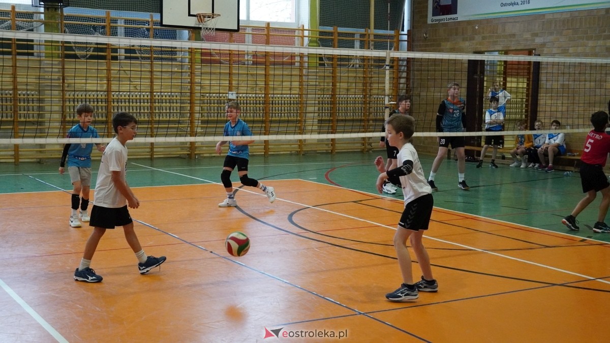 Turniej siatkarski UKS Olimp Ostrołęka [11.01.2025] - zdjęcie #187 - eOstroleka.pl