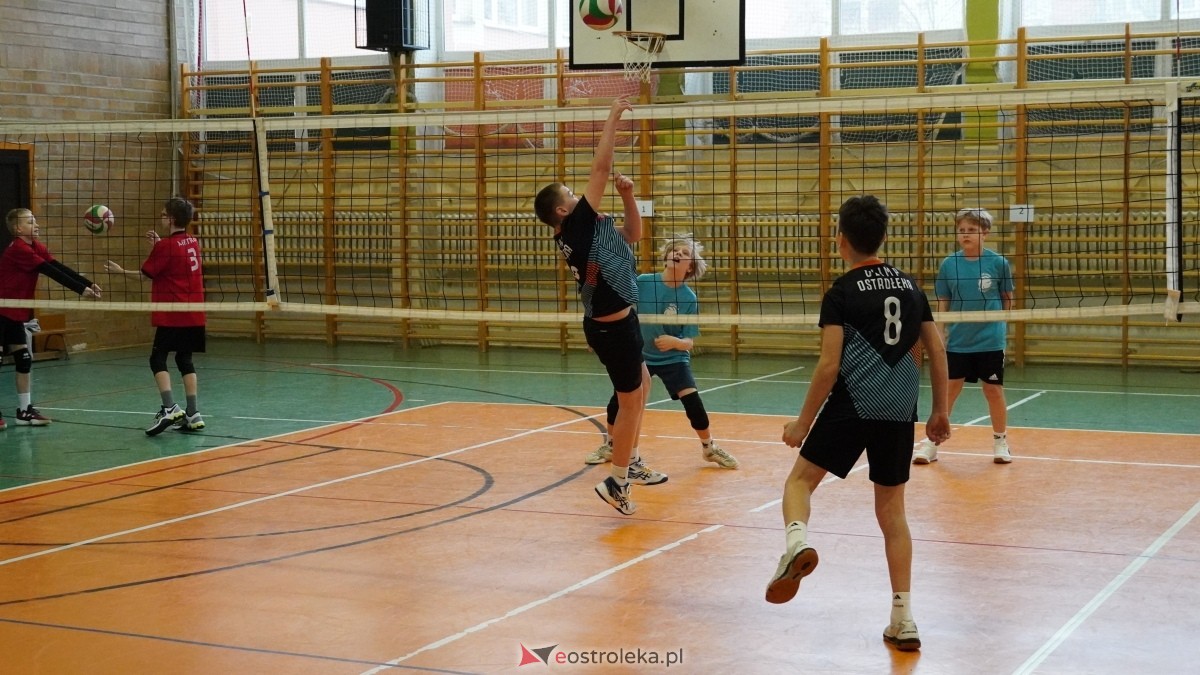 Turniej siatkarski UKS Olimp Ostrołęka [11.01.2025] - zdjęcie #185 - eOstroleka.pl