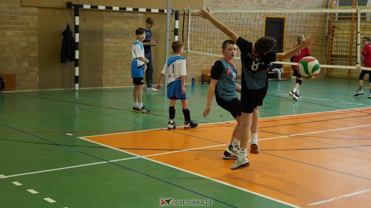Turniej siatkarski UKS Olimp Ostrołęka [11.01.2025] - zdjęcie #184 - eOstroleka.pl