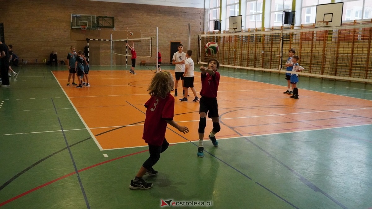 Turniej siatkarski UKS Olimp Ostrołęka [11.01.2025] - zdjęcie #183 - eOstroleka.pl
