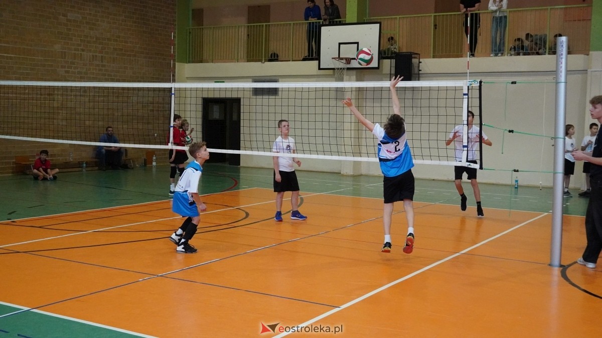 Turniej siatkarski UKS Olimp Ostrołęka [11.01.2025] - zdjęcie #181 - eOstroleka.pl