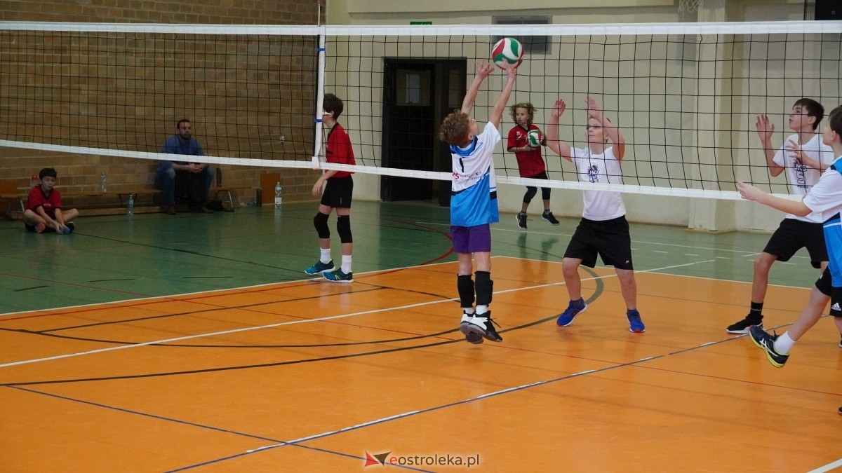 Turniej siatkarski UKS Olimp Ostrołęka [11.01.2025] - zdjęcie #180 - eOstroleka.pl